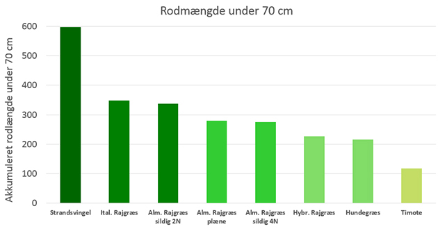 Rodmængde under 70 cm